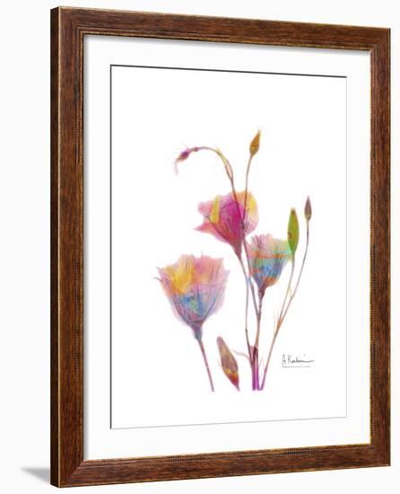 GentianB9 Watercolor-Albert Koetsier-Framed Art Print