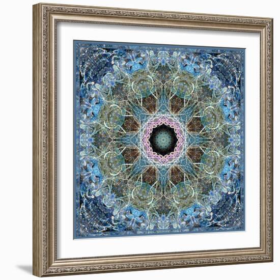 Gentle Blue Frosted Leafes in the Forest Mandala-Alaya Gadeh-Framed Photographic Print