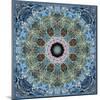 Gentle Blue Frosted Leafes in the Forest Mandala-Alaya Gadeh-Mounted Photographic Print