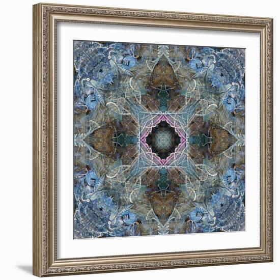 Gentle Blue Frosted Leafes in the Forest-Alaya Gadeh-Framed Photographic Print