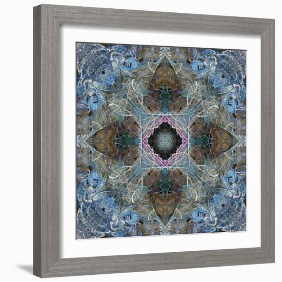 Gentle Blue Frosted Leafes in the Forest-Alaya Gadeh-Framed Photographic Print