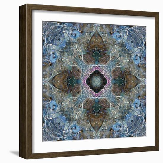Gentle Blue Frosted Leafes in the Forest-Alaya Gadeh-Framed Photographic Print