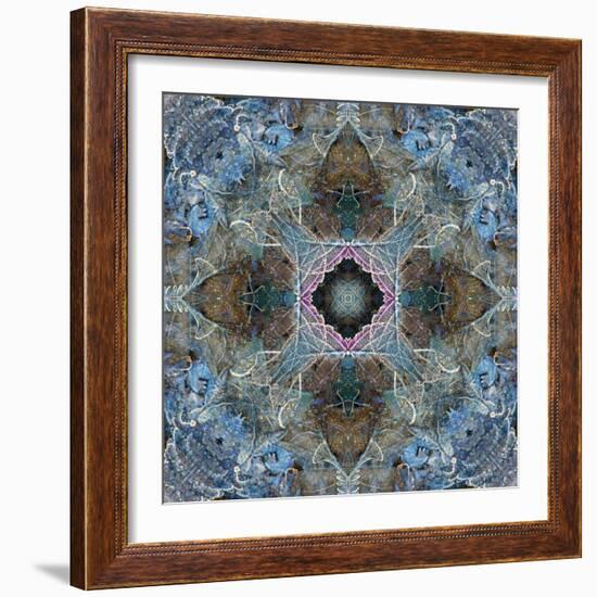 Gentle Blue Frosted Leafes in the Forest-Alaya Gadeh-Framed Photographic Print