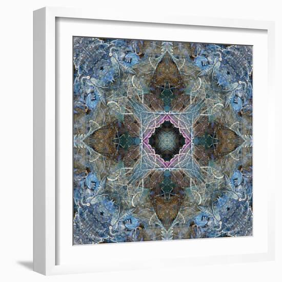 Gentle Blue Frosted Leafes in the Forest-Alaya Gadeh-Framed Photographic Print