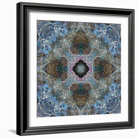 Gentle Blue Frosted Leafes in the Forest-Alaya Gadeh-Framed Photographic Print