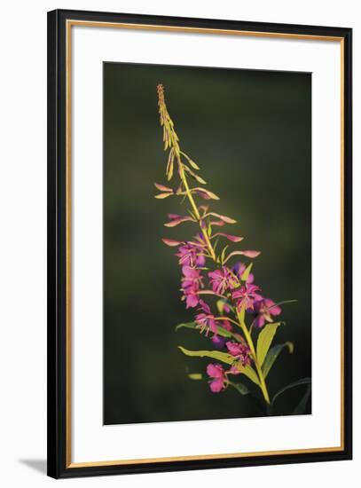 Gentle Breeze-Staffan Widstrand-Framed Giclee Print