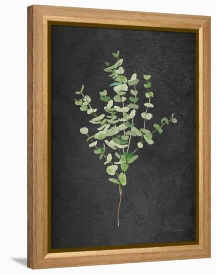 Gentle Eucalyptus on Black-Mercedes Lopez Charro-Framed Stretched Canvas