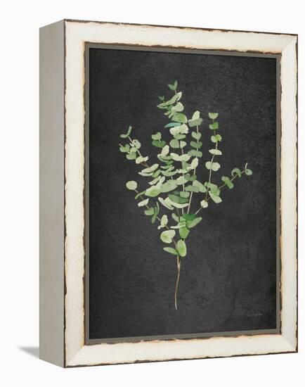 Gentle Eucalyptus on Black-Mercedes Lopez Charro-Framed Stretched Canvas