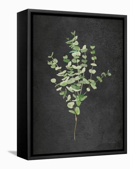 Gentle Eucalyptus on Black-Mercedes Lopez Charro-Framed Stretched Canvas