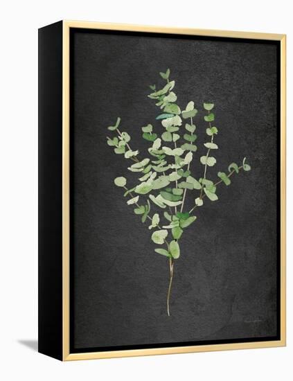 Gentle Eucalyptus on Black-Mercedes Lopez Charro-Framed Stretched Canvas