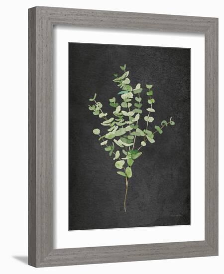 Gentle Eucalyptus on Black-Mercedes Lopez Charro-Framed Art Print