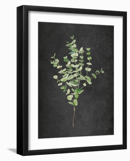 Gentle Eucalyptus on Black-Mercedes Lopez Charro-Framed Art Print