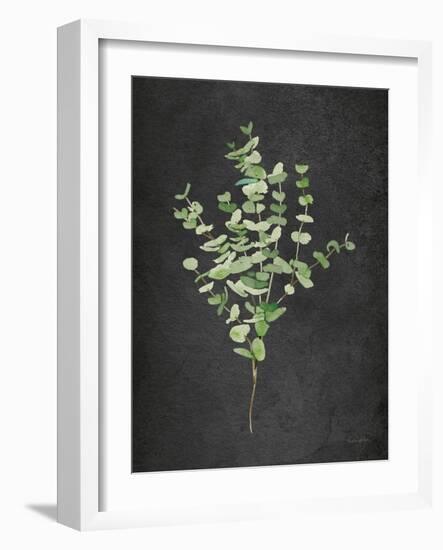 Gentle Eucalyptus on Black-Mercedes Lopez Charro-Framed Art Print