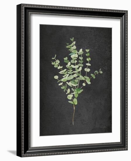 Gentle Eucalyptus on Black-Mercedes Lopez Charro-Framed Art Print