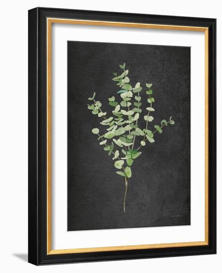 Gentle Eucalyptus on Black-Mercedes Lopez Charro-Framed Art Print