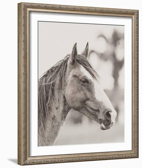 Gentle Gaze-Wink Gaines-Framed Giclee Print