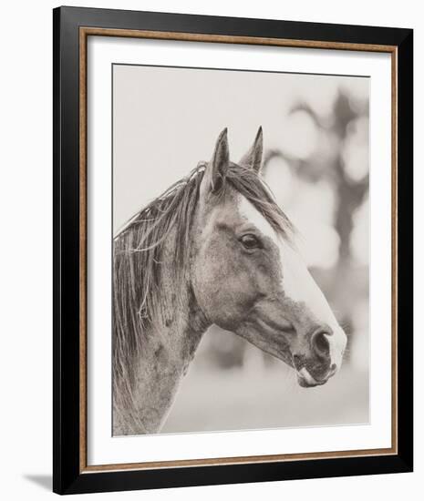 Gentle Gaze-Wink Gaines-Framed Giclee Print