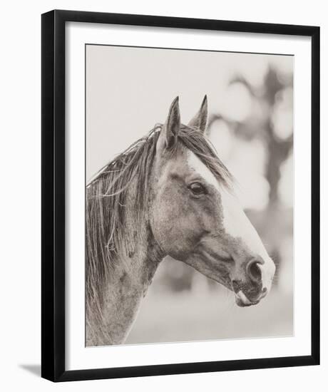 Gentle Gaze-Wink Gaines-Framed Giclee Print