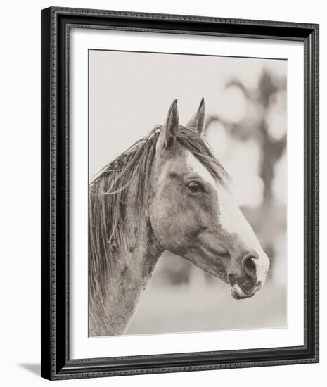 Gentle Gaze-Wink Gaines-Framed Giclee Print