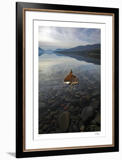 Gentle Glide-Andrew Geiger-Framed Limited Edition