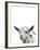 Gentle Goat-Assaf Frank-Framed Giclee Print