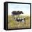 Gentle Grazers-null-Framed Stretched Canvas