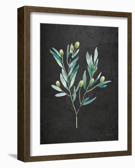 Gentle Olive Branch on Black-Mercedes Lopez Charro-Framed Art Print