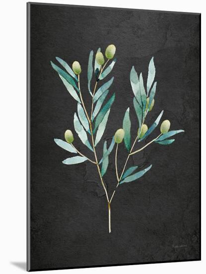 Gentle Olive Branch on Black-Mercedes Lopez Charro-Mounted Art Print