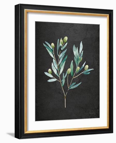 Gentle Olive Branch on Black-Mercedes Lopez Charro-Framed Art Print