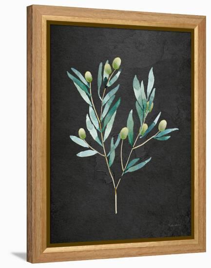 Gentle Olive Branch on Black-Mercedes Lopez Charro-Framed Stretched Canvas