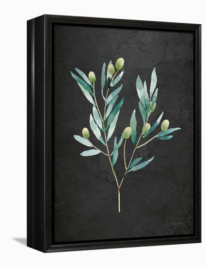 Gentle Olive Branch on Black-Mercedes Lopez Charro-Framed Stretched Canvas