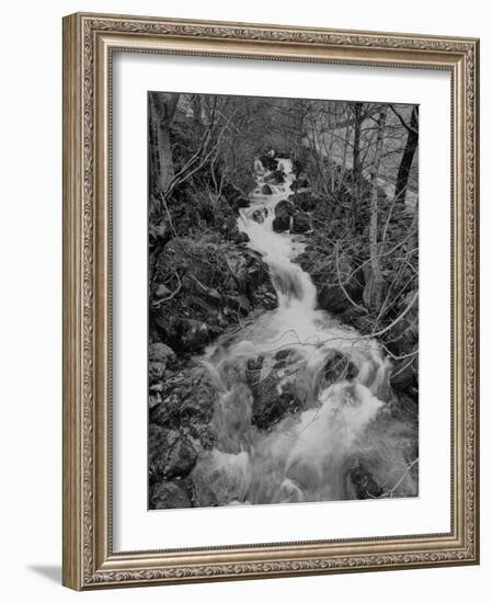 Gentle River Flowing Through Lonely Woody Forest Where Wordsworth Wrote Poetry-Nat Farbman-Framed Photographic Print