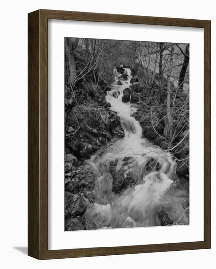 Gentle River Flowing Through Lonely Woody Forest Where Wordsworth Wrote Poetry-Nat Farbman-Framed Photographic Print