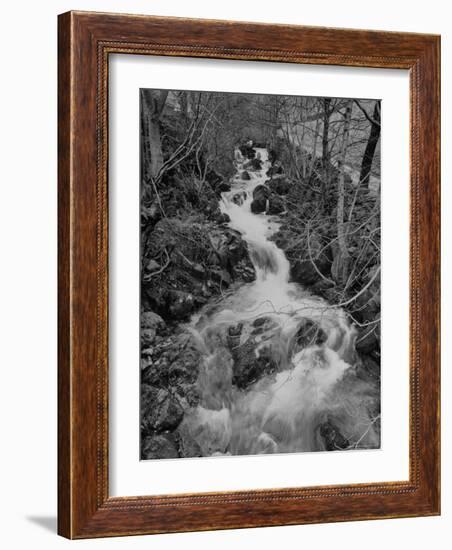 Gentle River Flowing Through Lonely Woody Forest Where Wordsworth Wrote Poetry-Nat Farbman-Framed Photographic Print