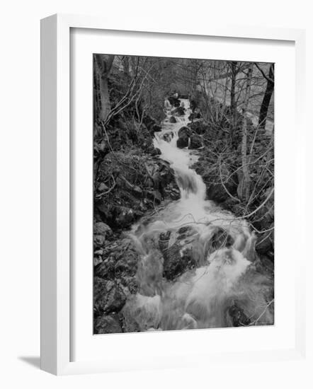 Gentle River Flowing Through Lonely Woody Forest Where Wordsworth Wrote Poetry-Nat Farbman-Framed Photographic Print