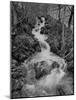 Gentle River Flowing Through Lonely Woody Forest Where Wordsworth Wrote Poetry-Nat Farbman-Mounted Photographic Print