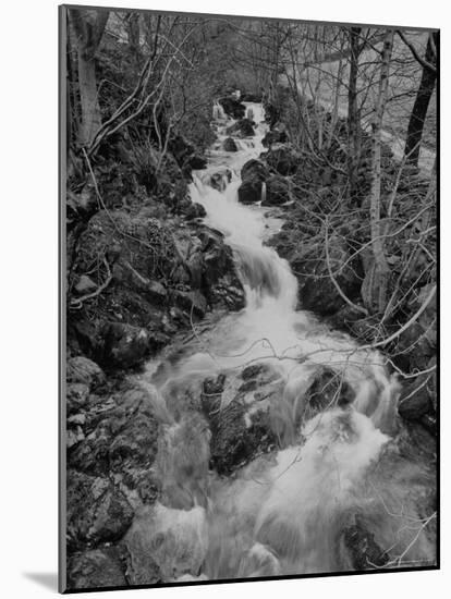 Gentle River Flowing Through Lonely Woody Forest Where Wordsworth Wrote Poetry-Nat Farbman-Mounted Photographic Print