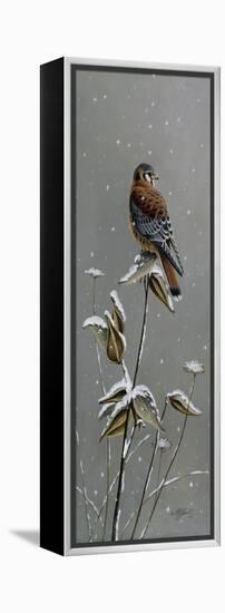 Gentle Snowfall - Kestrel-Wilhelm Goebel-Framed Premier Image Canvas