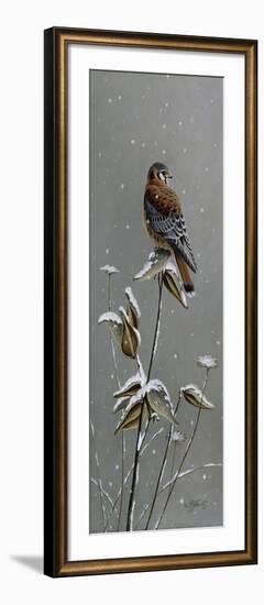 Gentle Snowfall - Kestrel-Wilhelm Goebel-Framed Giclee Print