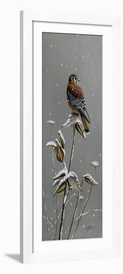 Gentle Snowfall - Kestrel-Wilhelm Goebel-Framed Giclee Print