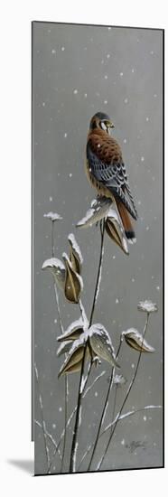 Gentle Snowfall - Kestrel-Wilhelm Goebel-Mounted Giclee Print