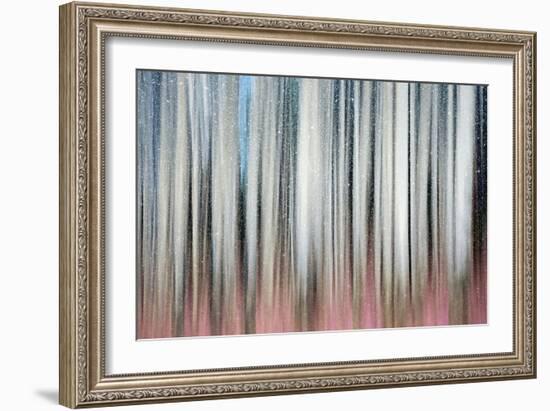 Gentle Snowfall-Ursula Abresch-Framed Photographic Print