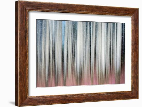 Gentle Snowfall-Ursula Abresch-Framed Photographic Print