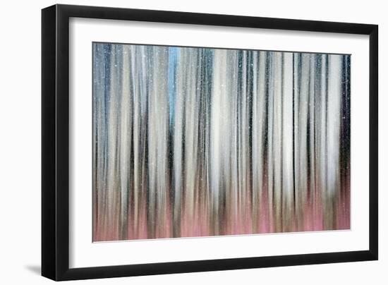 Gentle Snowfall-Ursula Abresch-Framed Photographic Print