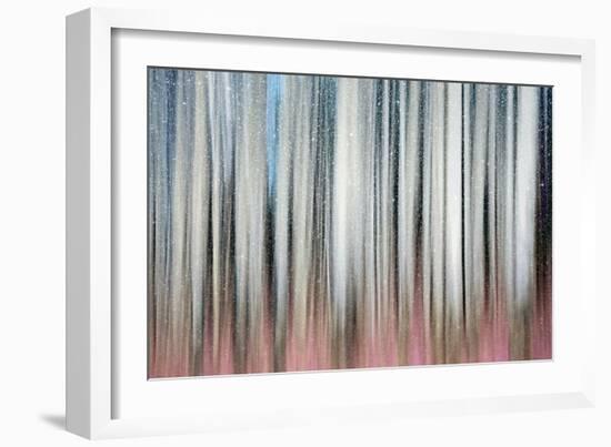 Gentle Snowfall-Ursula Abresch-Framed Photographic Print