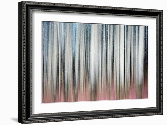 Gentle Snowfall-Ursula Abresch-Framed Photographic Print