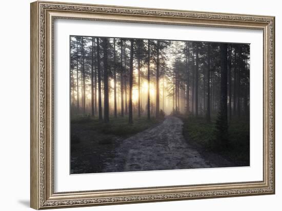 Gentle Sun-Andreas Stridsberg-Framed Giclee Print