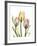 Gentle Tulips-Albert Koetsier-Framed Art Print