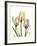 Gentle Tulips-Albert Koetsier-Framed Art Print