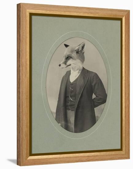 Gentleman Fox-J Hovenstine Studios-Framed Premier Image Canvas